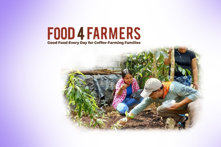 Donate to Food 4 Farmers